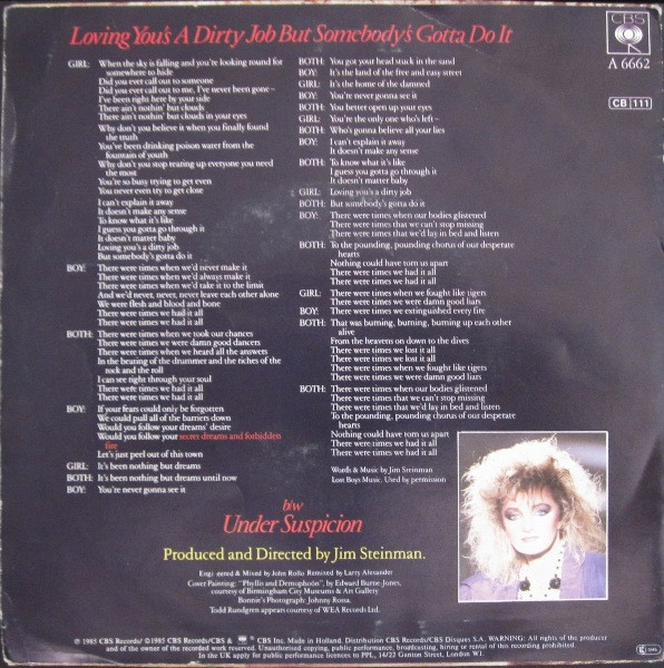 Cover zu Bonnie Tyler Duet With Todd Rundgren - Loving You's A Dirty Job But Somebody's Gotta Do It | 1985 | Vinyl | Rock | Europe Schallplatten Ankauf
