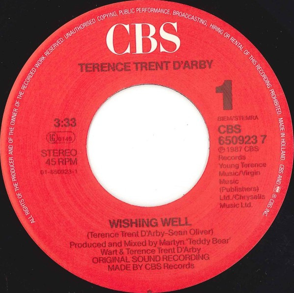 Cover zu Terence Trent D'Arby - Wishing Well | 1987 | Vinyl | Electronic, Funk / Soul, Pop | Europe