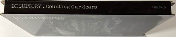 Cover zu Desultory - Counting Our Scars | 2010 | CD, Album | Rock | Singapore