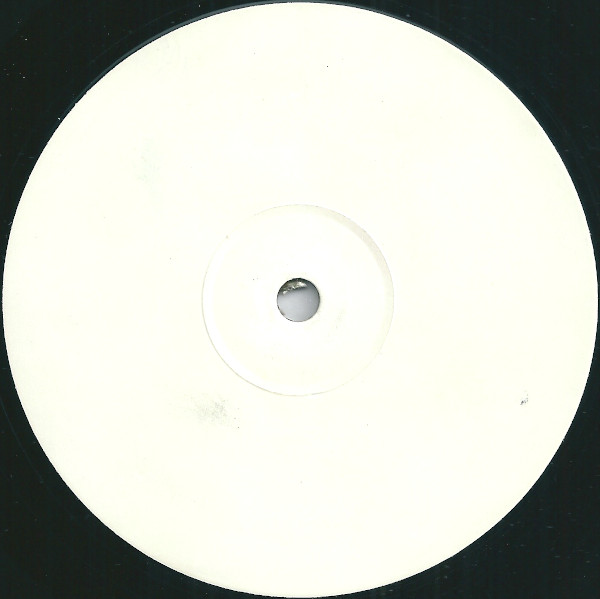 Cover zu Skip Raiders / BT Feat Jan Johnston - Another Day / Flesh | 2000 | Vinyl | Electronic | UK Schallplatten Ankauf