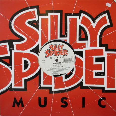 Cover zu Acrylite - What Is It? | 2002 | Vinyl | Electronic | Germany Schallplatten Ankauf