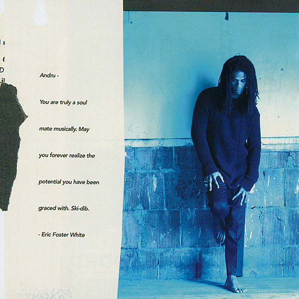 Cover zu Andru Donalds - Andru Donalds | 1994 | Vinyl | Electronic, Reggae | Netherlands