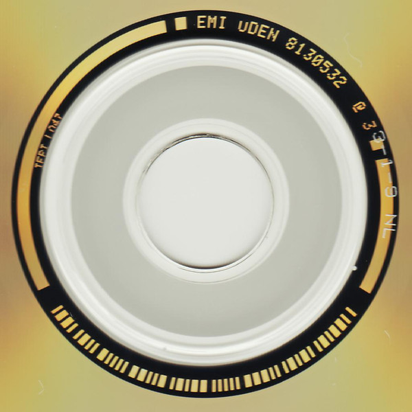 Cover zu Slut - Nothing Will Go Wrong | 2002 | Vinyl | Rock | Europe