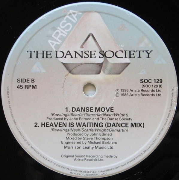 Cover zu The Danse Society - Hold On (To What You've Got) | 1986 | Vinyl | Electronic, Rock | UK Schallplatten Ankauf