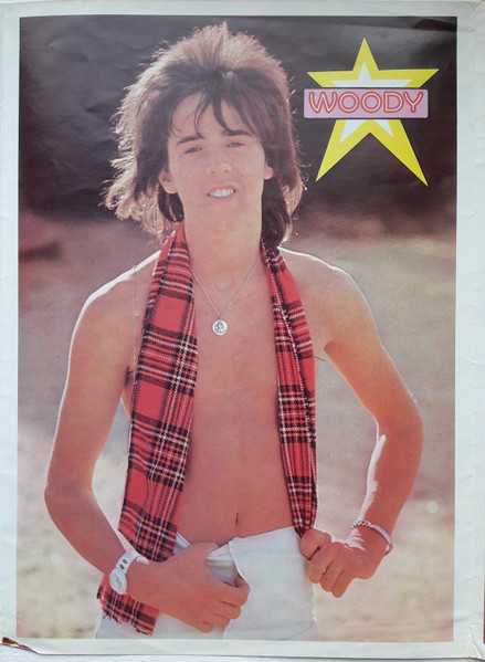 Cover zu Bay City Rollers - Wouldn't You Like It? | 1975 | Vinyl | Rock, Pop | UK
