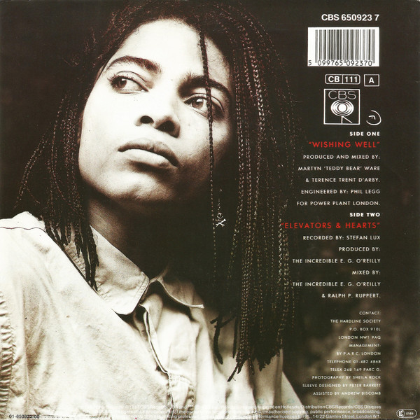 Cover zu Terence Trent D'Arby - Wishing Well | 1987 | Vinyl | Electronic, Funk / Soul, Pop | Europe Schallplatten Ankauf
