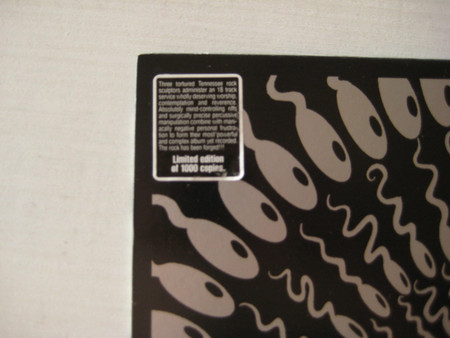 Cover zu Today Is The Day - Temple Of The Morning Star | 1997 | Vinyl | Rock | US