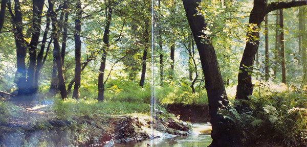 Cover zu Renate Und Werner Leismann - Drei Weisse Birken | 1969 | Vinyl | Pop | Germany