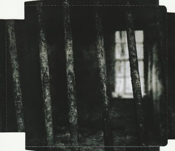Cover zu Desultory - Counting Our Scars | 2010 | CD, Album | Rock | Singapore