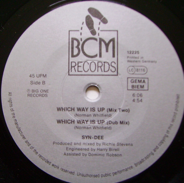 Cover zu Syndee - Which Way Is Up (The 12