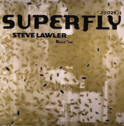 Cover zu Steve Lawler - Rise 'In | 2000 | Vinyl | Electronic | Germany Schallplatten Ankauf