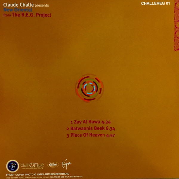Cover zu Claude Challe Presents The R.E.G. Project - New Oriental | 2002 | Vinyl | Electronic | Europe