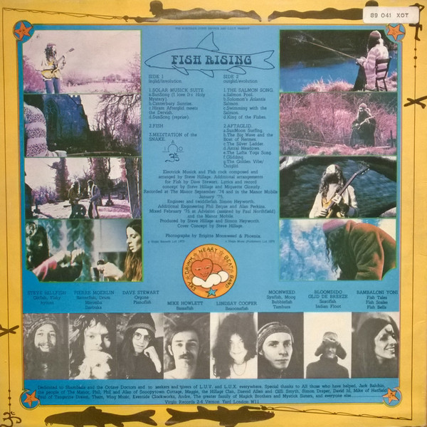 Cover zu Steve Hillage - Fish Rising | Vinyl | Electronic, Rock | Germany Schallplatten Ankauf