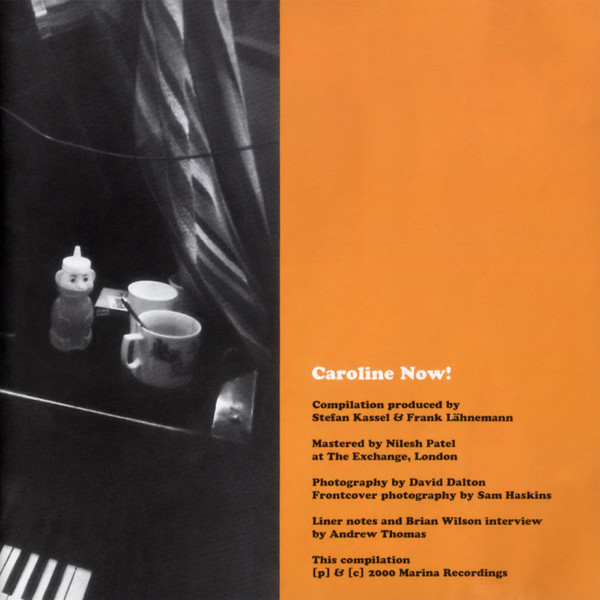 Cover zu Various - Caroline Now! The Songs Of Brian Wilson And The Beach Boys | 2000 | Vinyl | Electronic, Rock, Pop | Germany