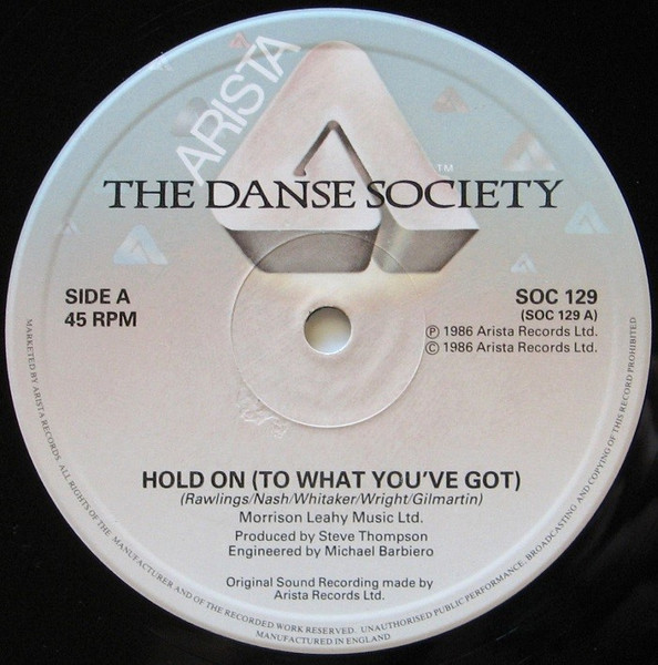 Cover zu The Danse Society - Hold On (To What You've Got) | 1986 | Vinyl | Electronic, Rock | UK