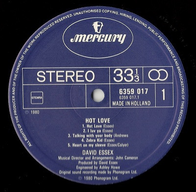 Cover zu David Essex - Hot Love | 1980 | Vinyl | Rock, Pop | Netherlands