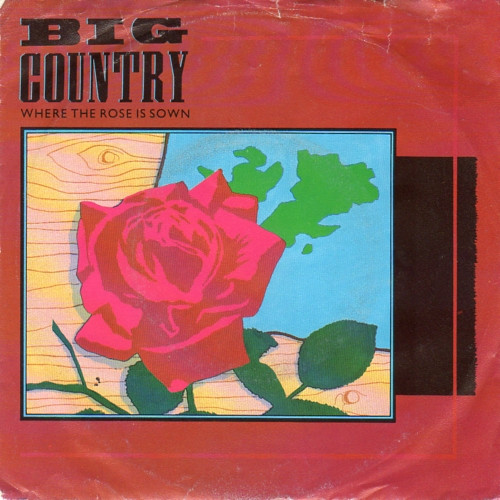 Bild Big Country – Where The Rose Is Sown | 1984 | Vinyl, Stereo, 45 RPM, 7″, Single | Rock | Germany Schallplatten Ankauf