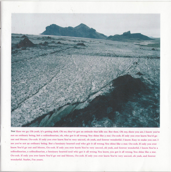 Cover zu The Crash - Wildlife | 2002 | Vinyl | Electronic, Rock | Finland Schallplatten Ankauf