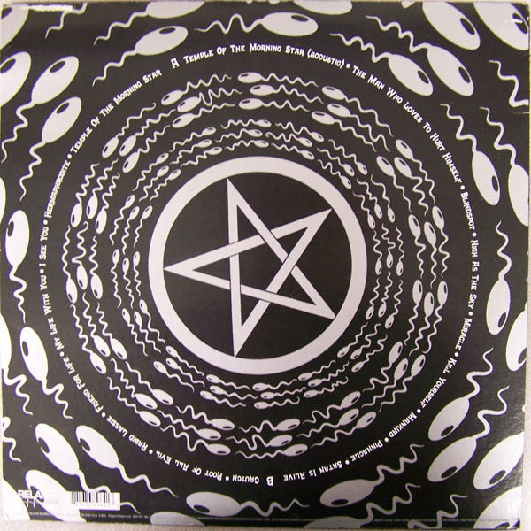 Cover zu Today Is The Day - Temple Of The Morning Star | 1997 | Vinyl | Rock | US
