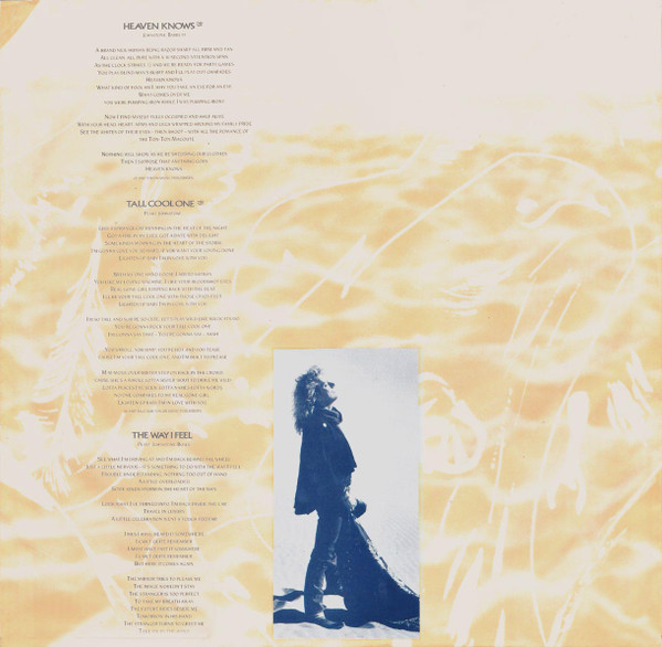 Cover zu Robert Plant - Now And Zen | 1988 | Vinyl | Rock | UK & Europe