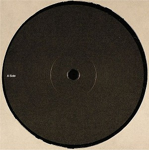 Cover zu Diego Vega - I Can't Stand The Rain | 2005 | Vinyl | Electronic | Germany Schallplatten Ankauf