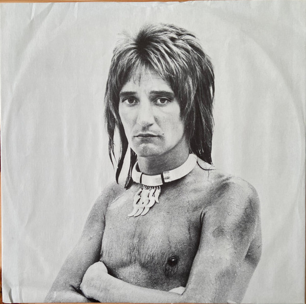 Cover zu Rod Stewart - A Night On The Town | 1977 | Vinyl | Rock, Pop | US