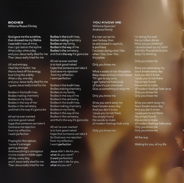 Cover zu Robbie Williams - Reality Killed The Video Star | 2009 | Vinyl | Rock, Pop | Europe