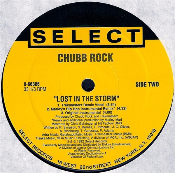 Cover zu Chubb Rock - Lost In The Storm | 1992 | Vinyl | Hip Hop | US