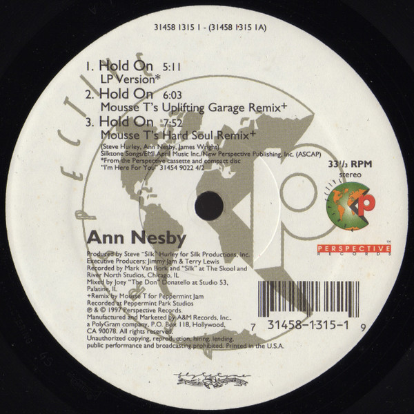 Cover zu Ann Nesby - Hold On | 1997 | Vinyl | Electronic | US Schallplatten Ankauf