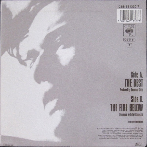 Cover zu Bonnie Tyler - The Best | 1988 | Vinyl | Electronic, Rock | Europe Schallplatten Ankauf