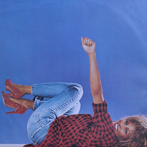 Cover zu Tina Turner - Private Dancer | 1984 | Vinyl, LP, Album, Stereo | Rock | Europe