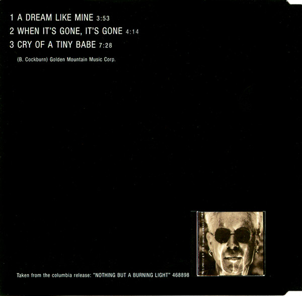 Cover zu Bruce Cockburn - A Dream Like Mine | 1991 | Vinyl | Rock, Folk, World, & Country | Europe Schallplatten Ankauf
