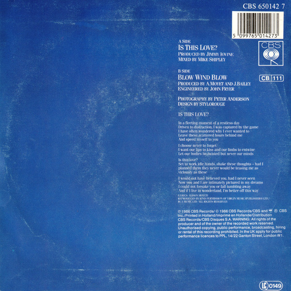Cover zu Alison Moyet - Is This Love? | 1986 | Vinyl | Electronic, Pop | Europe Schallplatten Ankauf