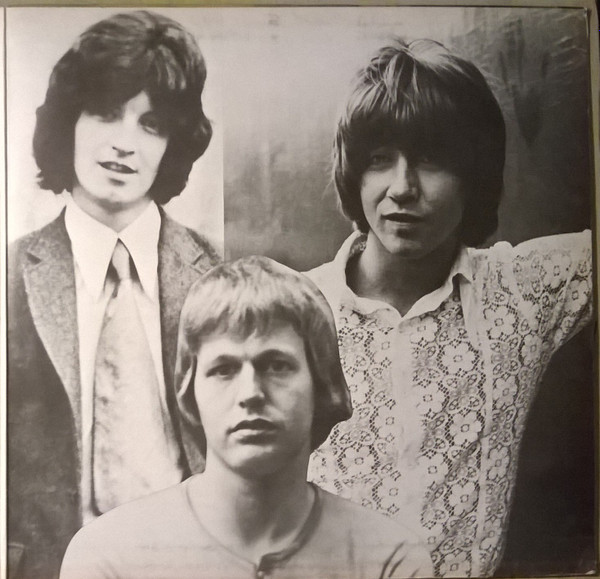 Cover zu The Hollies - Hollies Sing Hollies | 1969 | Vinyl | Rock, Pop | Germany