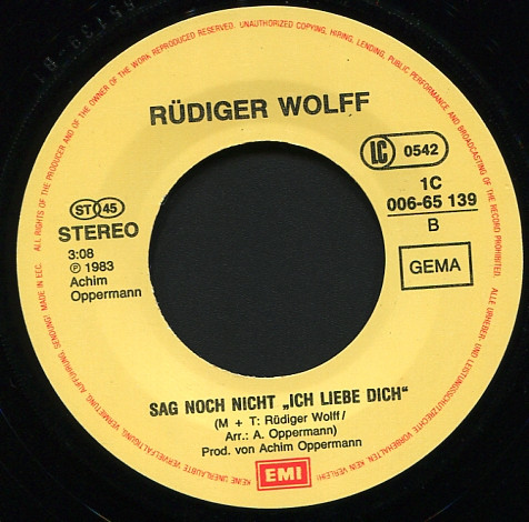 Cover zu Rüdiger Wolff - Wohin Gehn Wir | 1983 | Vinyl | Pop | Europe Schallplatten Ankauf