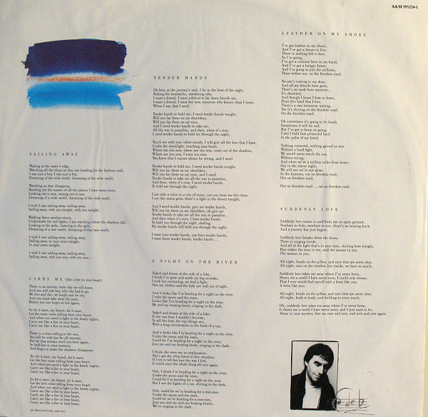 Cover zu Chris de Burgh - Flying Colours | 1988 | Vinyl, LP, Album, Stereo | Rock, Pop | Europe Schallplatten Ankauf