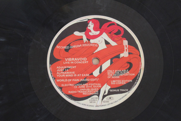 Cover zu Vibravoid - The Decomposition Of Noise | 2020 | Vinyl | Rock | Germany