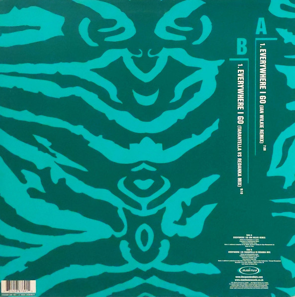 Cover zu The Space Brothers - Everywhere I Go | 2001 | Vinyl | Electronic | UK Schallplatten Ankauf