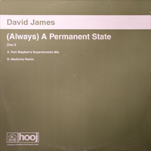 Cover zu David James - (Always) A Permanent State | 2001 | Vinyl | Electronic | UK