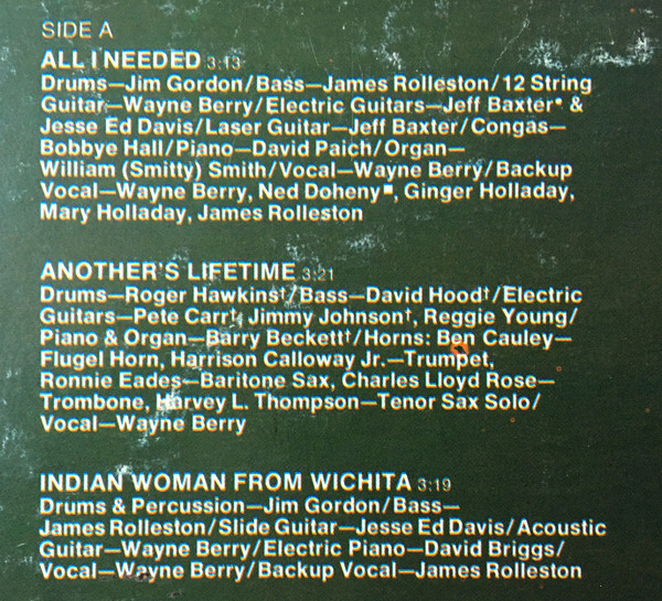 Cover zu Wayne Berry - Home At Last | 1974 | Vinyl | Rock, Blues, Folk, World, & Country | US
