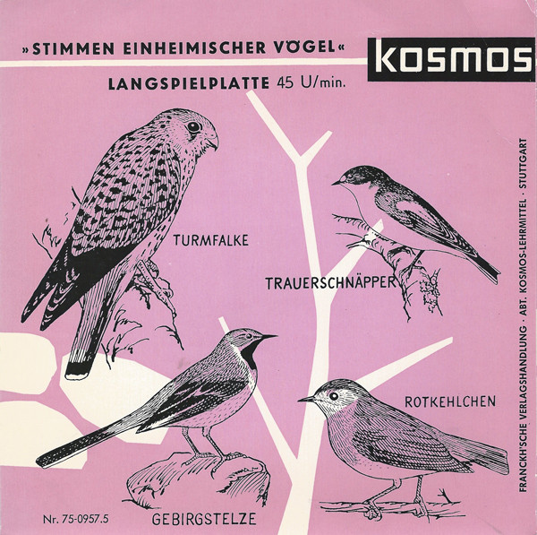 Cover zu Claus Fentzloff, Claus König, Gerhard Thielcke - Stimmen Einheimischer Vögel | Vinyl | Non-Music | Germany Schallplatten Ankauf