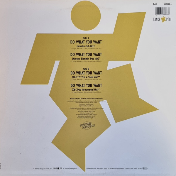 Cover zu 2 In A Room - Do What You Want | 1991 | Vinyl | Electronic | Netherlands Schallplatten Ankauf