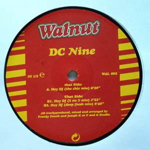 Cover zu DC Nine - Hey DJ | 1996 | Vinyl | Electronic | Netherlands Schallplatten Ankauf