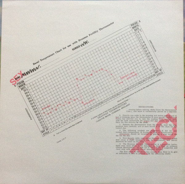 Cover zu Au Pairs - Playing With A Different Sex | 1981 | Vinyl | Rock | UK