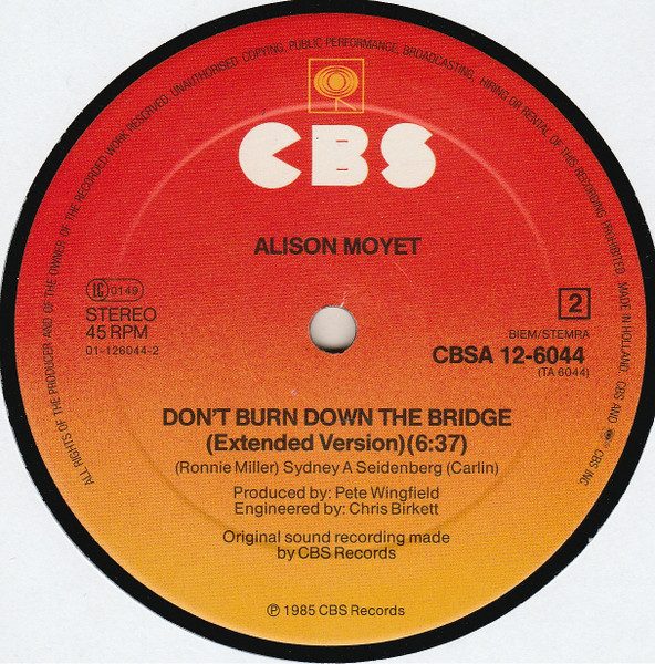 Cover zu Alison Moyet - That Ole Devil Called Love | 1985 | Vinyl | Jazz | Europe