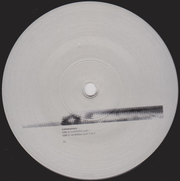 Cover zu Casseopaya - Synstation | 2000 | Vinyl | Electronic | Germany Schallplatten Ankauf
