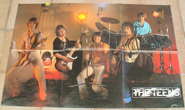 Cover zu The Teens - Teens & Jeans & Rock 'n' Roll | 1979 | Vinyl | Rock, Pop | Germany