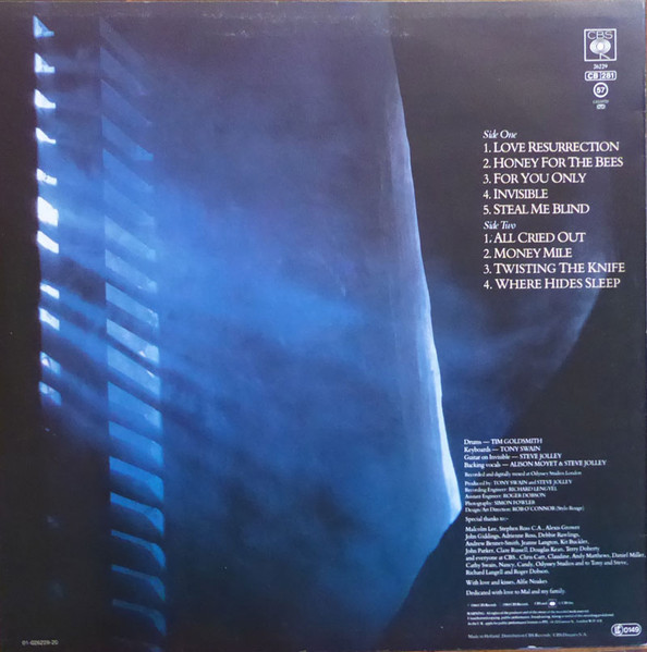 Cover zu Alison Moyet - Alf | 1984 | Vinyl | Rock, Pop | UK Schallplatten Ankauf
