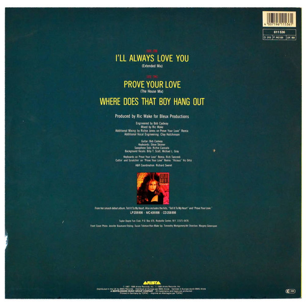 Cover zu Taylor Dayne - I'll Always Love You | 12