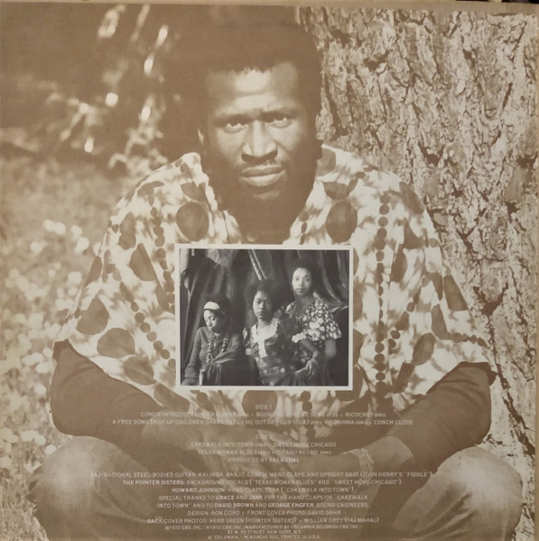 Cover zu Taj Mahal - Recycling The Blues & Other Related Stuff | LP, Album Schallplatten Ankauf